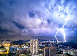 Parc Clematis (D5), Apartment #502244451